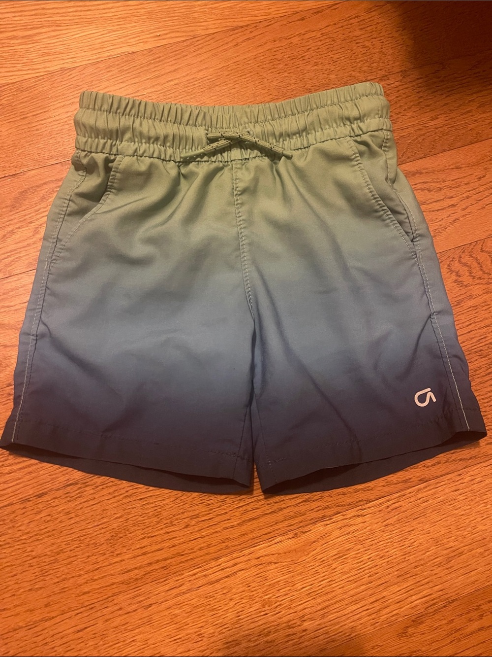 GAP Boys Ombre Green to Blue Swim Trunks